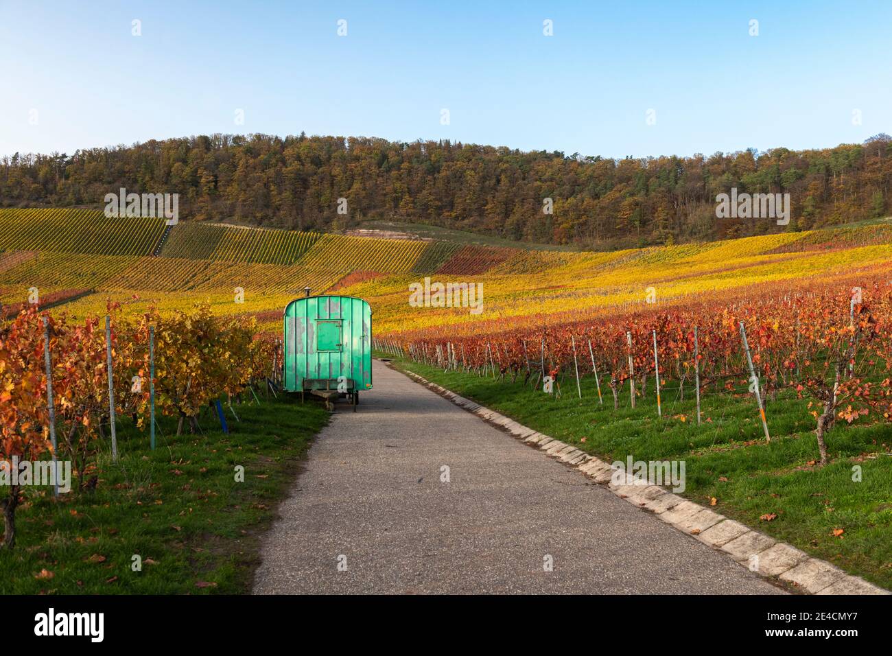 Europe, Germany, Baden-Wuerttemberg, Stromberg Heuchelberg Nature Park, Hohenhaslach, vineyard, autumn colors, site trailer, far-sighted path Stock Photo