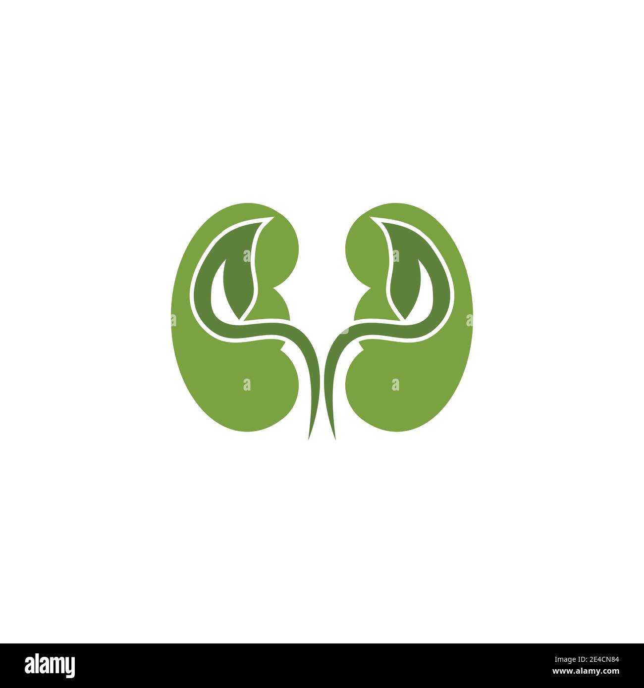 kidney vector illusrtation design logo template Stock Vector Image ...