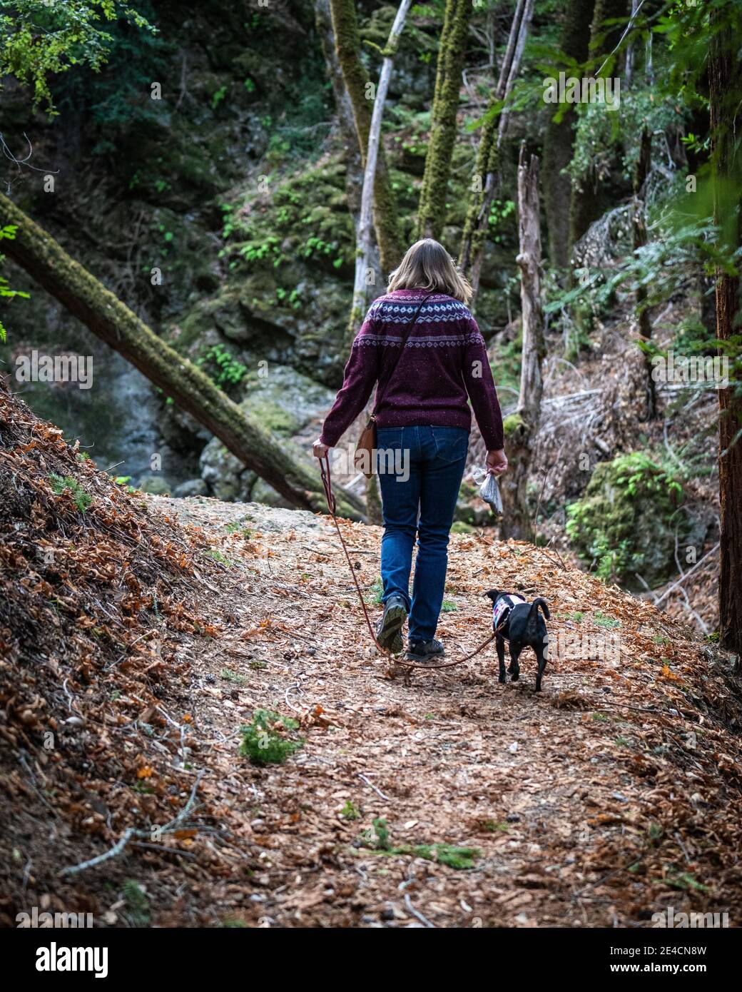 Hiking with dog Stock Photo Alamy