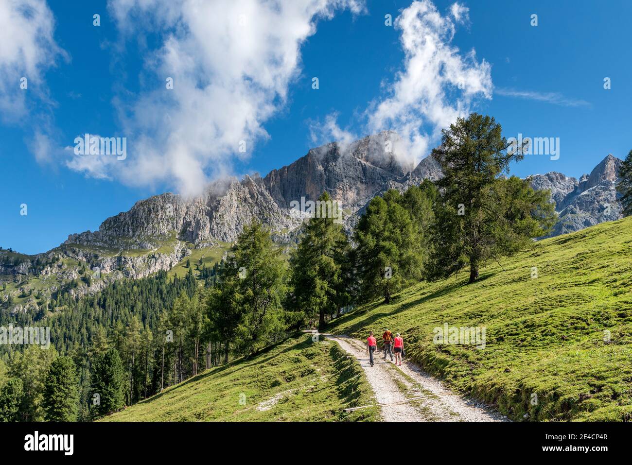 Tiers, Tierser Tal, Bolzano Province, Dolomites, South Tyrol, Italy. Hikers on the ascent to the Haniger Schwaige Stock Photo