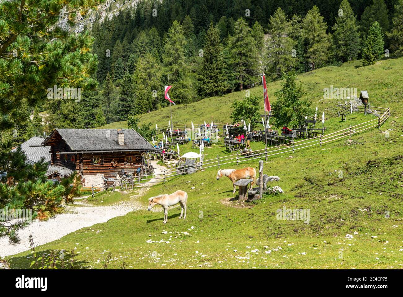 Tiers, Tierser Tal, Bolzano Province, Dolomites, South Tyrol, Italy. The Haniger Schwaige Stock Photo