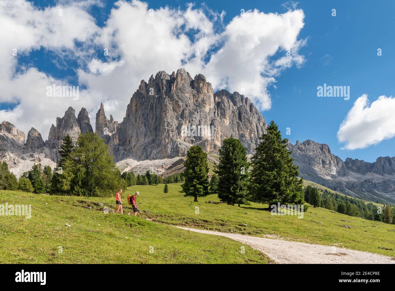 Tiers, Tierser Tal, Bolzano Province, Dolomites, South Tyrol, Italy. Hikers descending from the Haniger Schwaige, in the background the Vajolettürme and the Rosengartenspitze Stock Photo