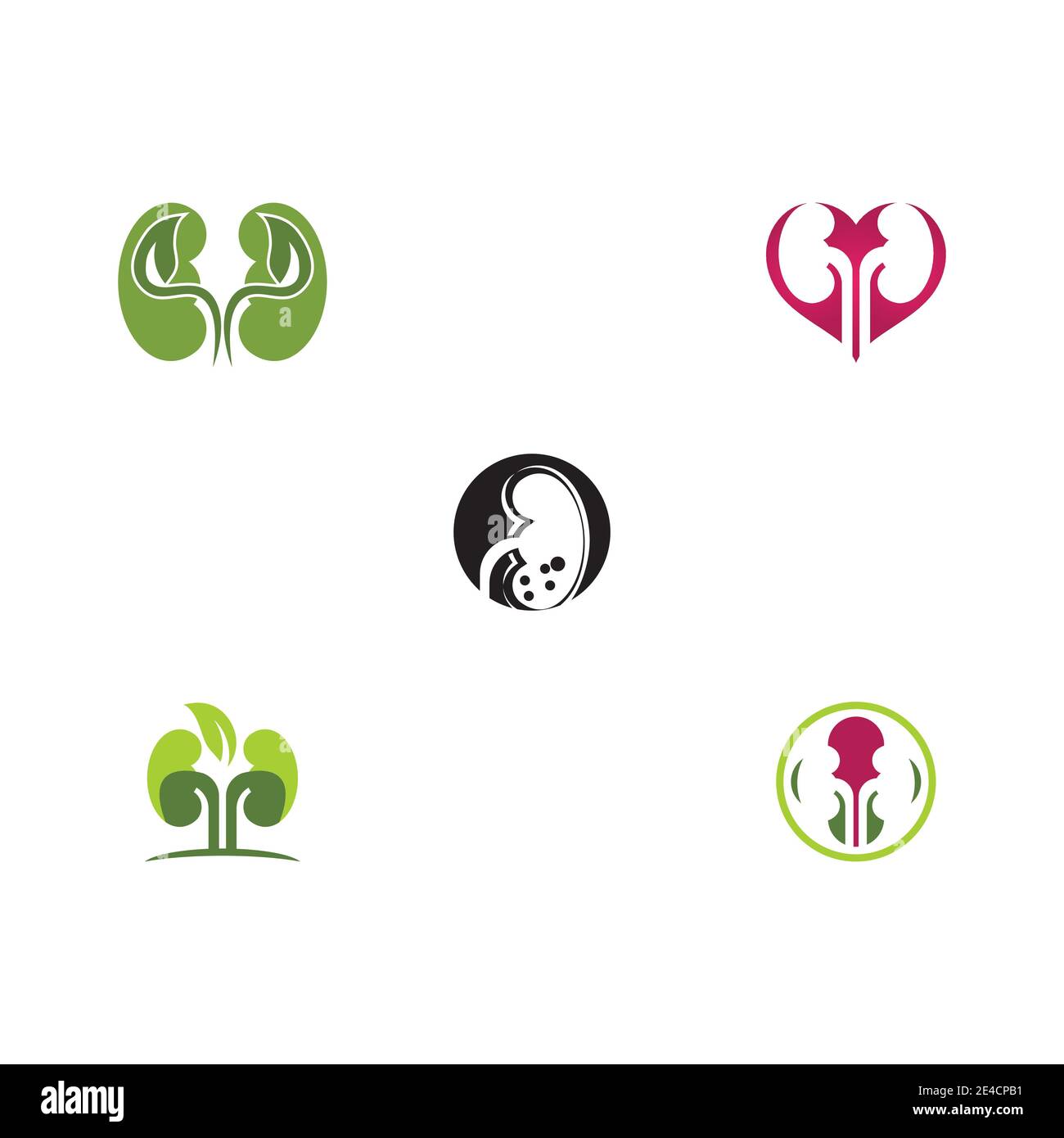 Set kidney vector illusrtation design logo template Stock Vector Image ...