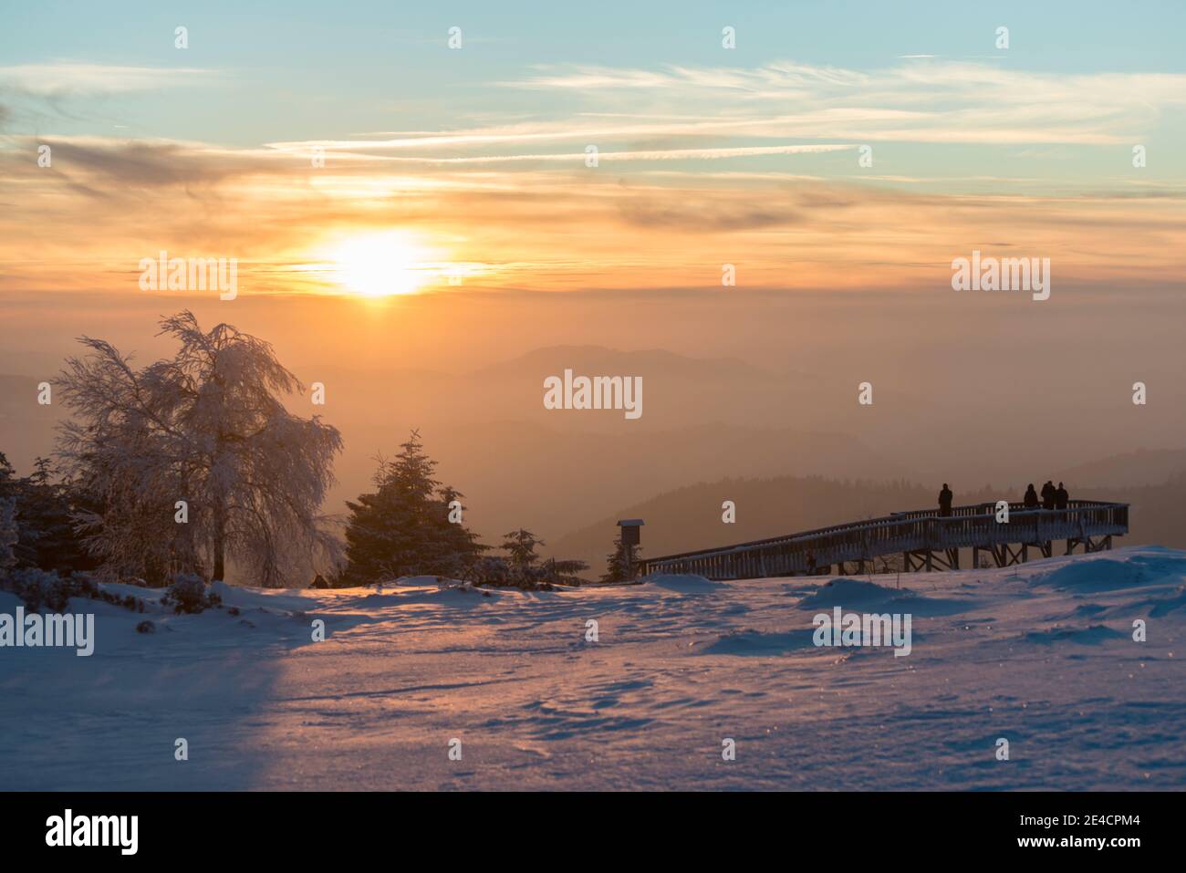 Germany, Baden-Wuerttemberg, Black Forest National Park, Schwarzwald-Hochstrasse, Schliffkopf, snow-covered trees in evening mood Stock Photo