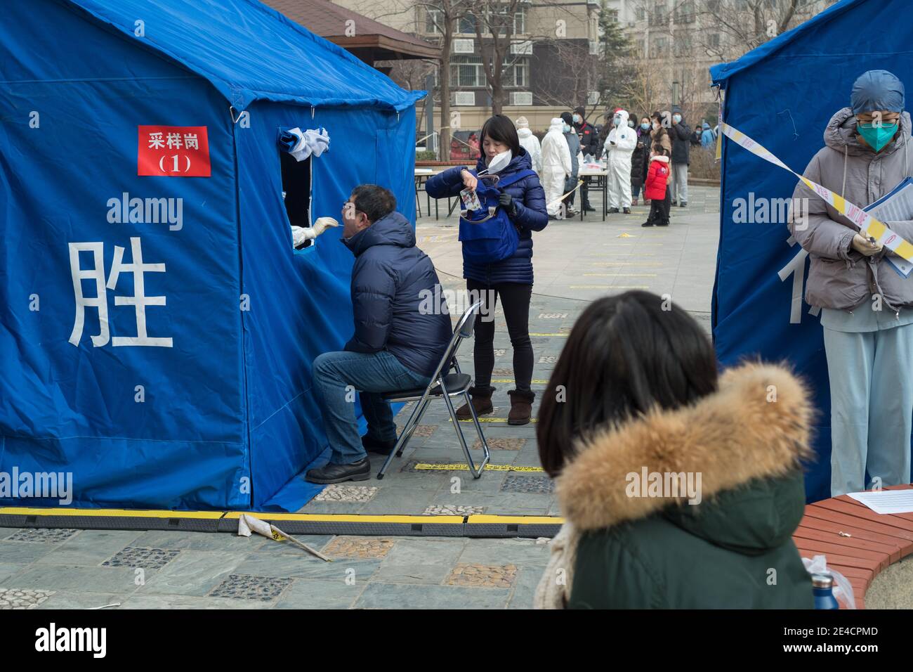 Medical worker collects a swab from a resident for nucleic acid testing, following new cases of the coronavirus in Beijing, China January 23, 2021. Stock Photo