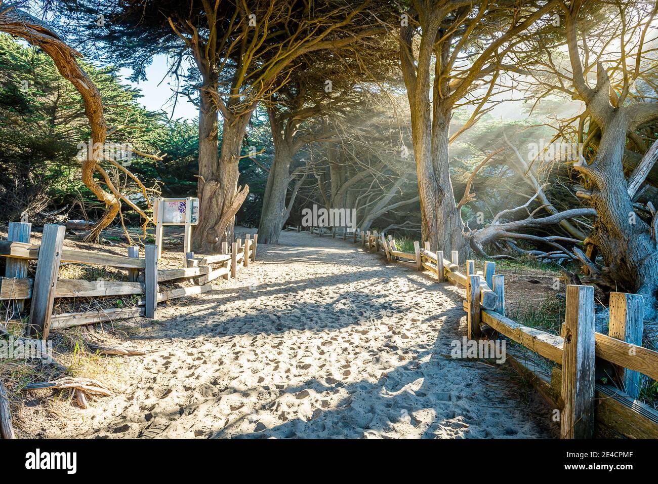 Pfeiffer Day Use Area in Big Sur Stock Photo