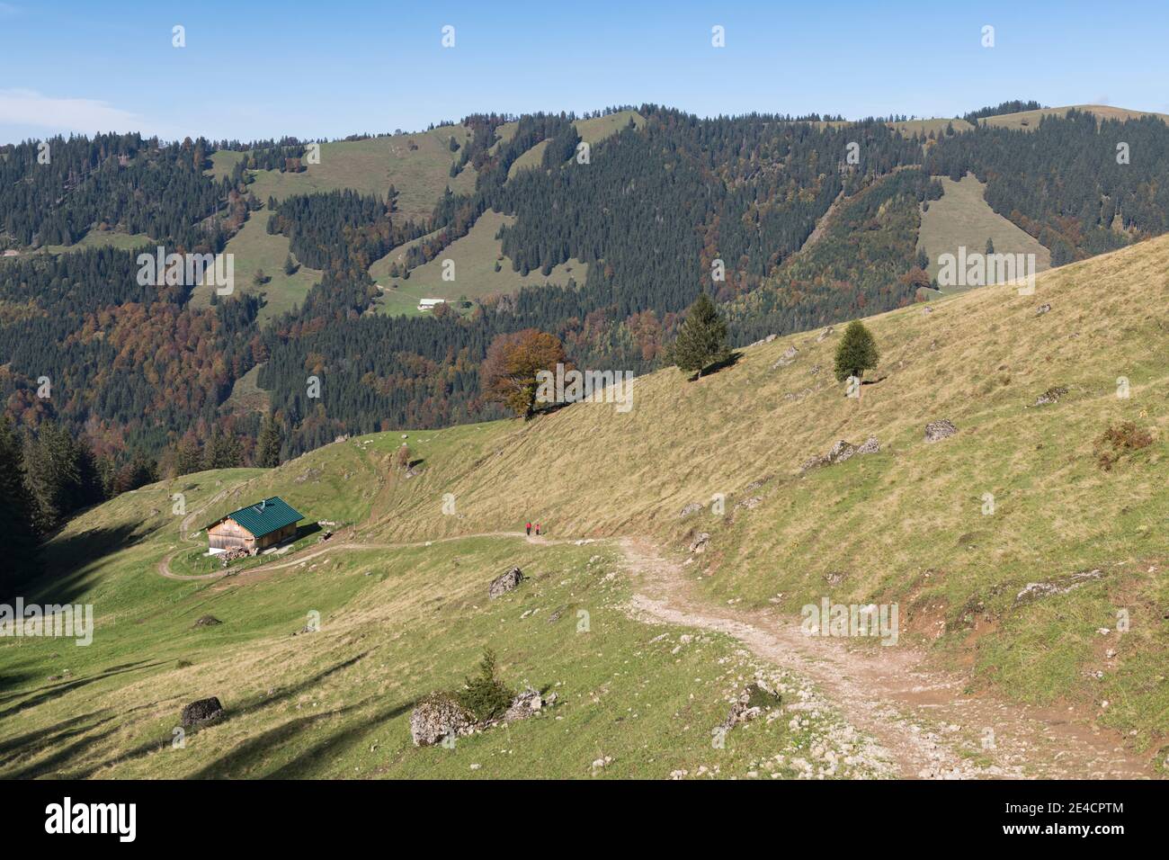 Europe, Germany, Bavaria, Allgäu, Oberstaufen, hiking trail to the Hochgrat, Alm Stock Photo
