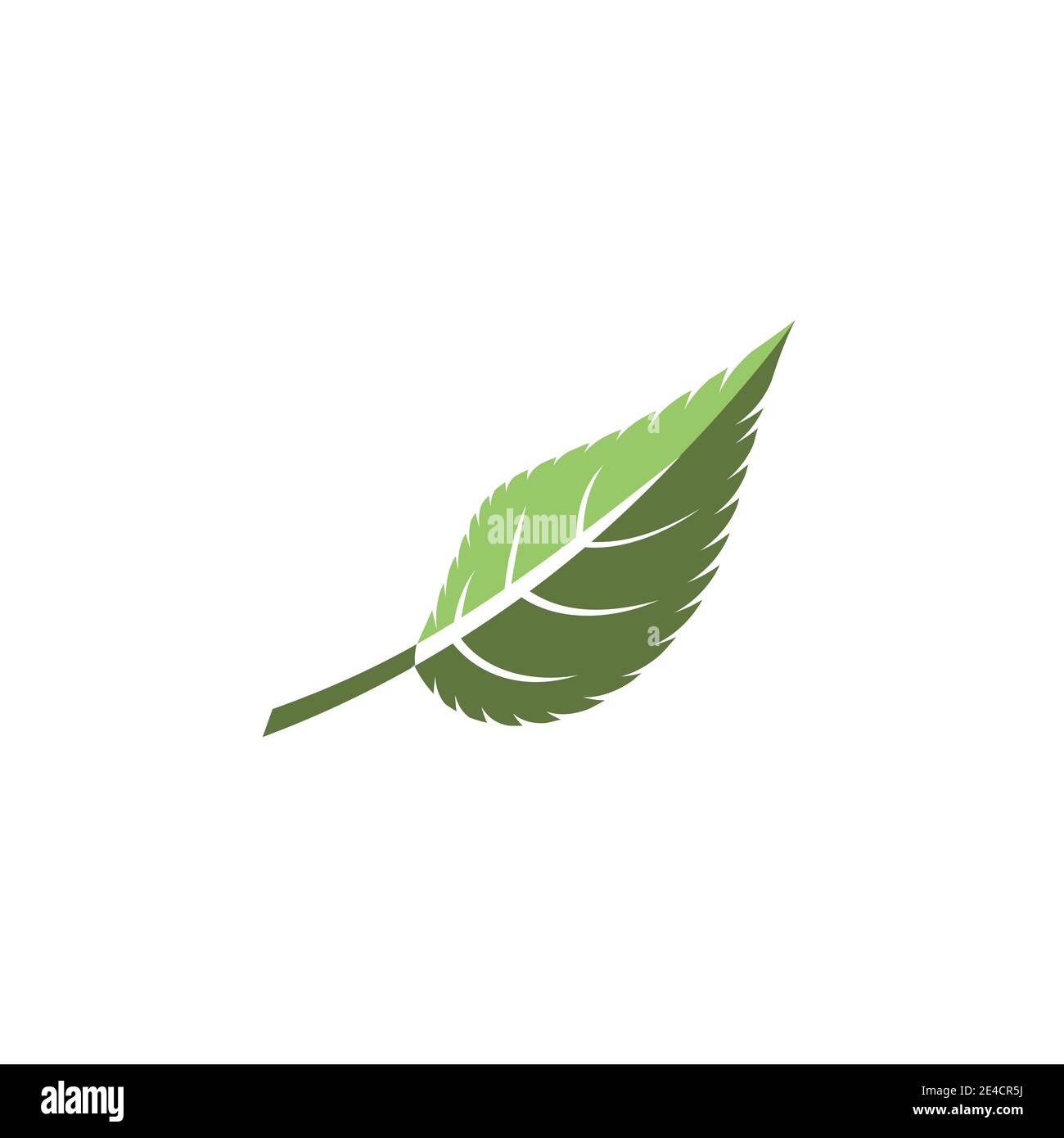 Leaf Mint Logo Template vector symbol nature Stock Vector Image & Art ...