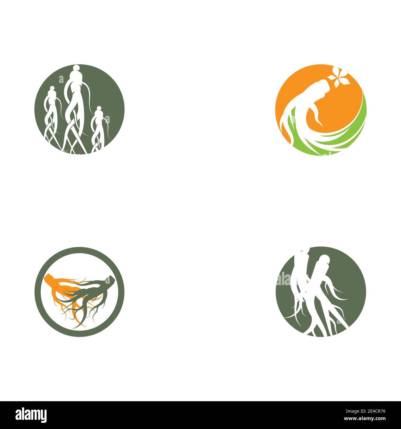 Set Ginseng Wave Logo Template vector symbol nature Stock Vector
