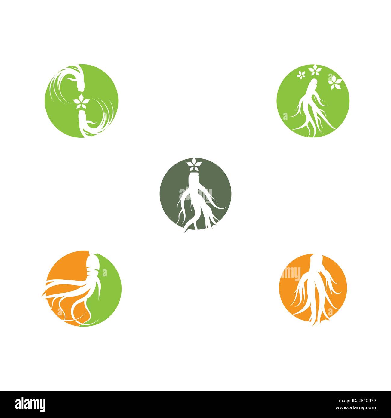 Set Ginseng Wave Logo Template vector symbol nature Stock Vector