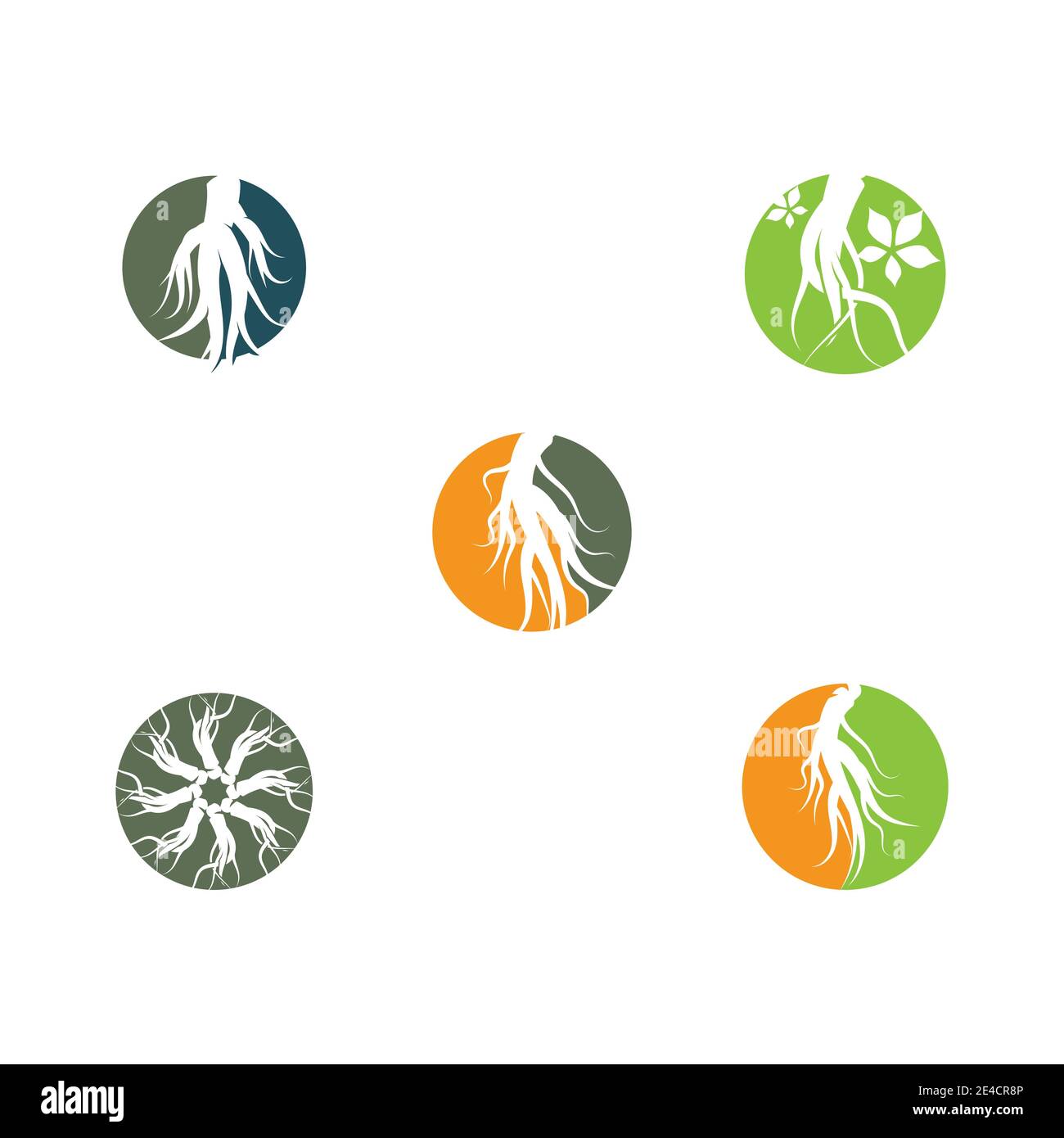 Set Ginseng Wave Logo Template vector symbol nature Stock Vector