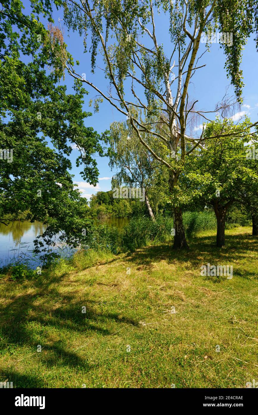 Haselbacher hires stock photography and images Alamy