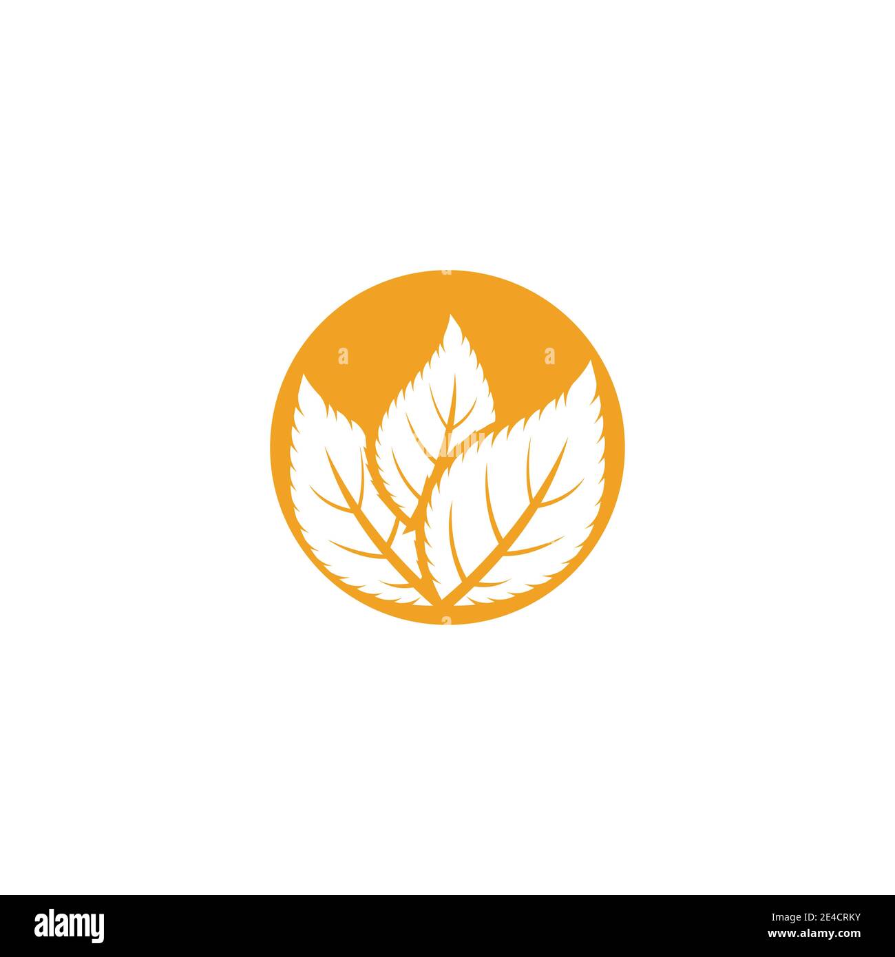 Leaf Mint Logo Template vector symbol nature Stock Vector Image & Art ...