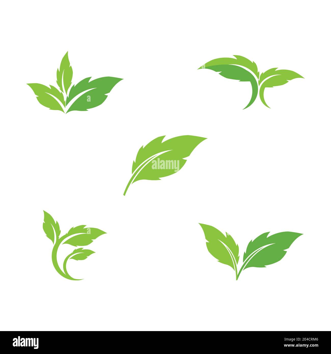 Leaf Logo Template vector symbol nature Stock Vector Image & Art - Alamy