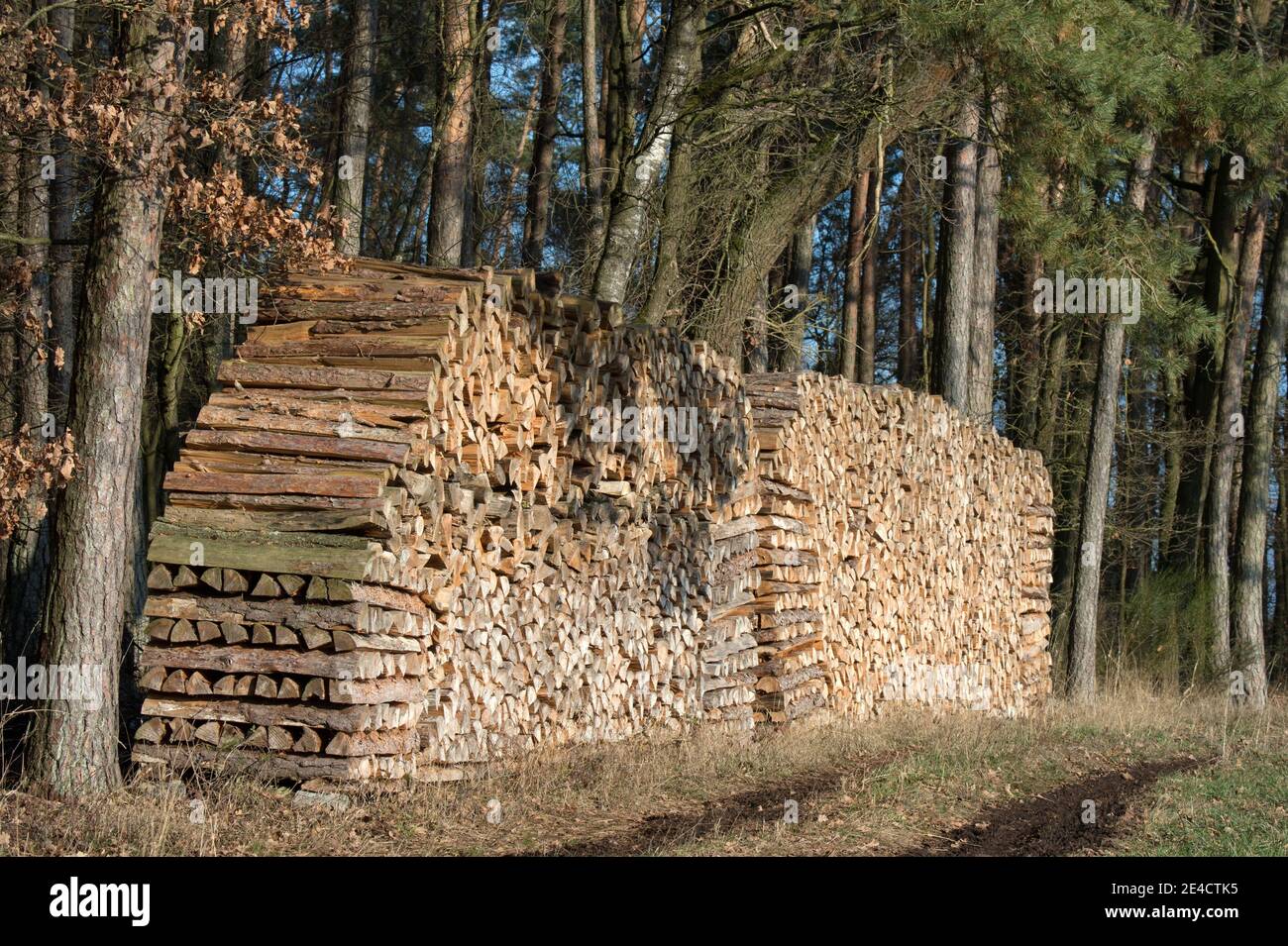 Winter wood supply Stock Photo