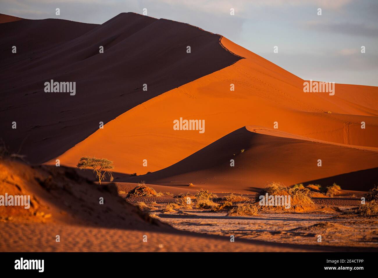 Sand dunes in Namib Naukluft National Park in Namibia, Southern Africa ...