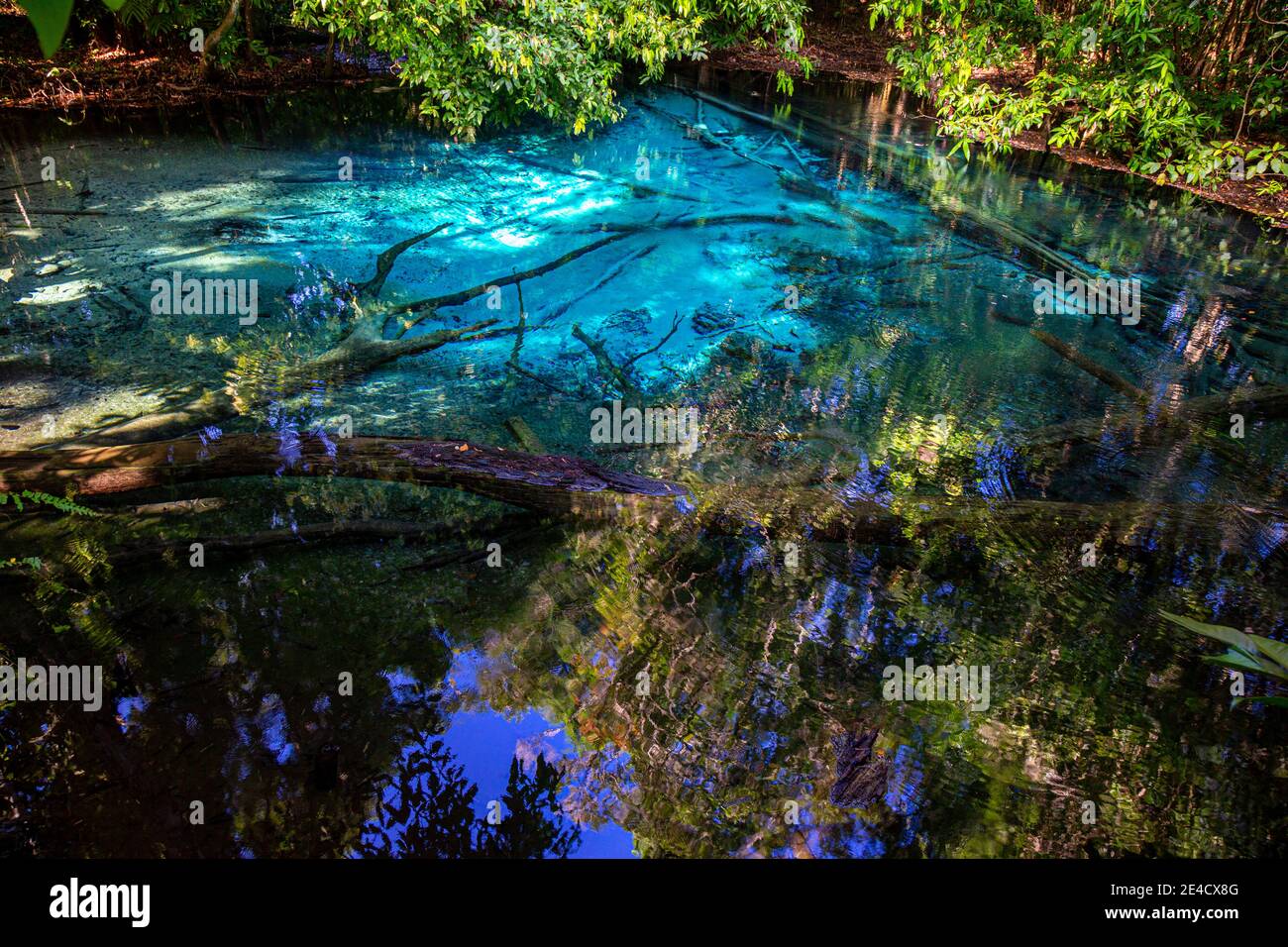 Blue Pool In Krabi Province South Of Thailand Emerald Pool Krabi Stock Photo Alamy