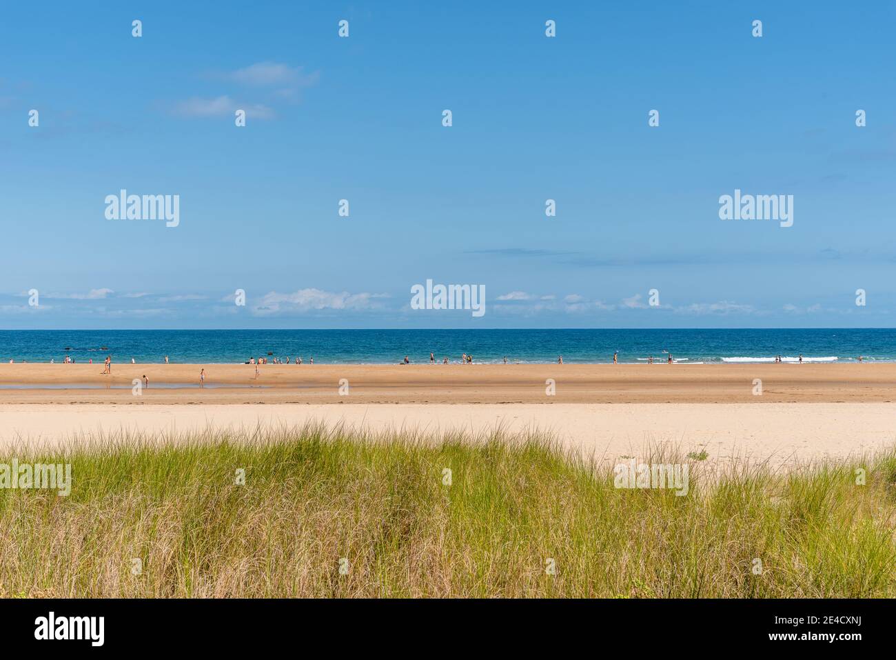 Beautiful shot grassy beach hi-res stock photography and images - Alamy