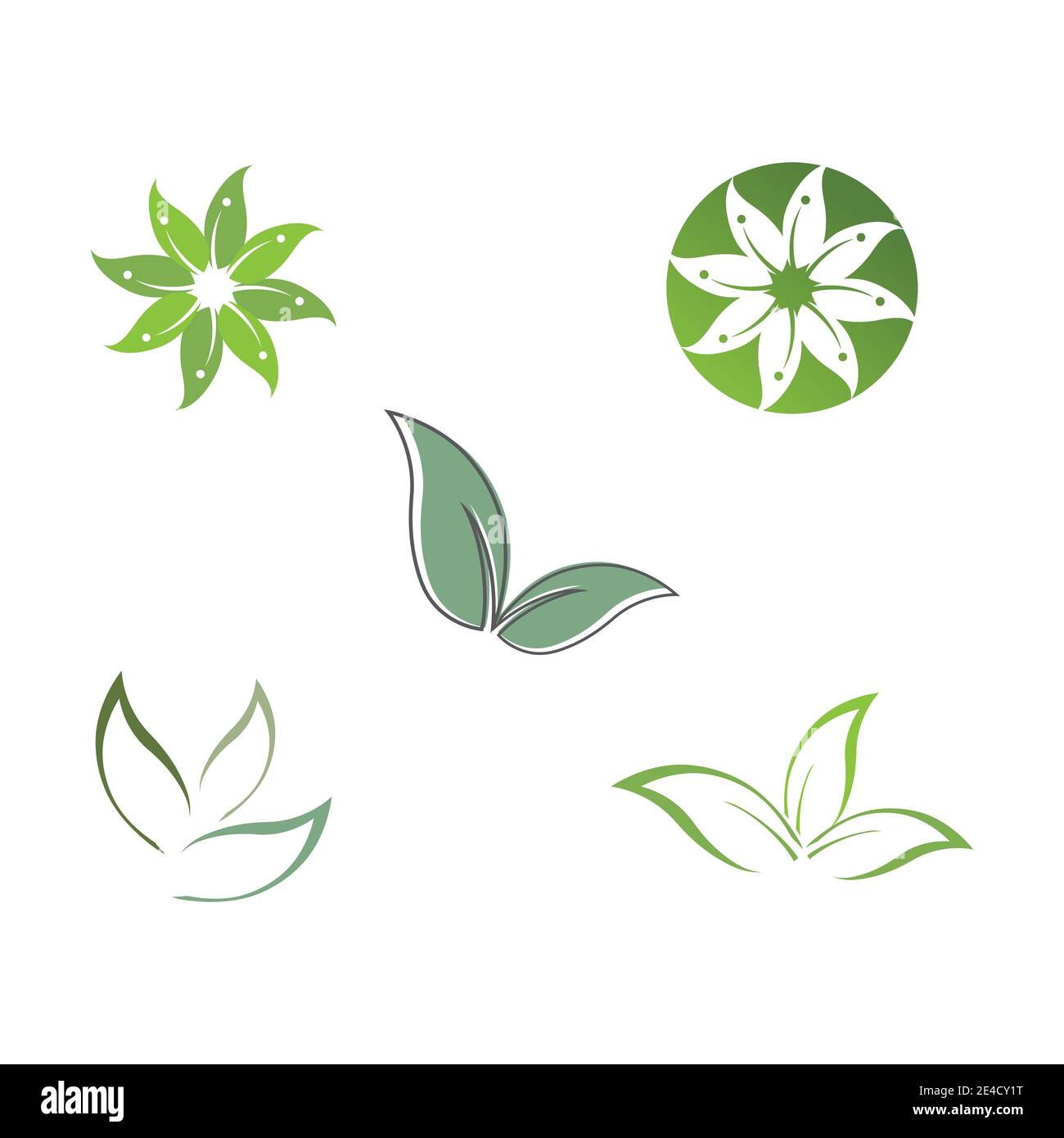 Set Eucalyptus leaves logo vector template design illustration Stock Vector