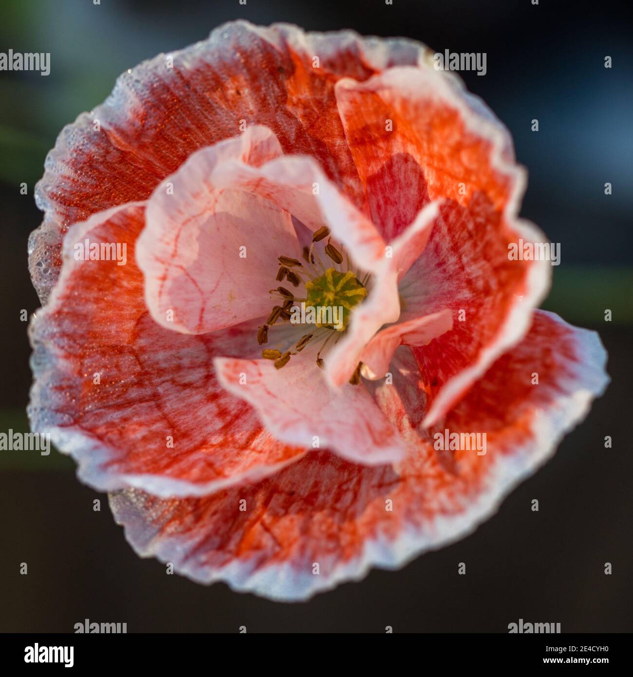 Akervallmo hires stock photography and images Alamy