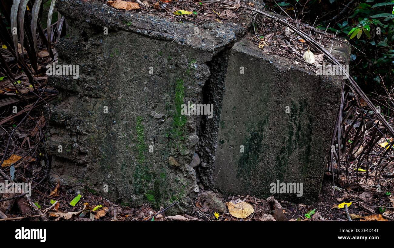 A solid block of concrete dumped in the forest, now gathering moss and slowly disintegrating Stock Photo