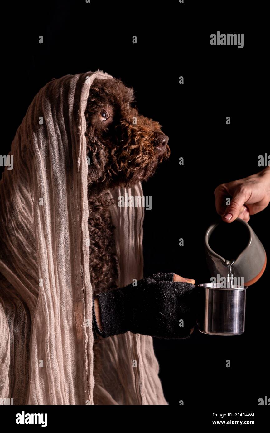 A poor beggar dog receiving water from a kind stranger Stock Photo