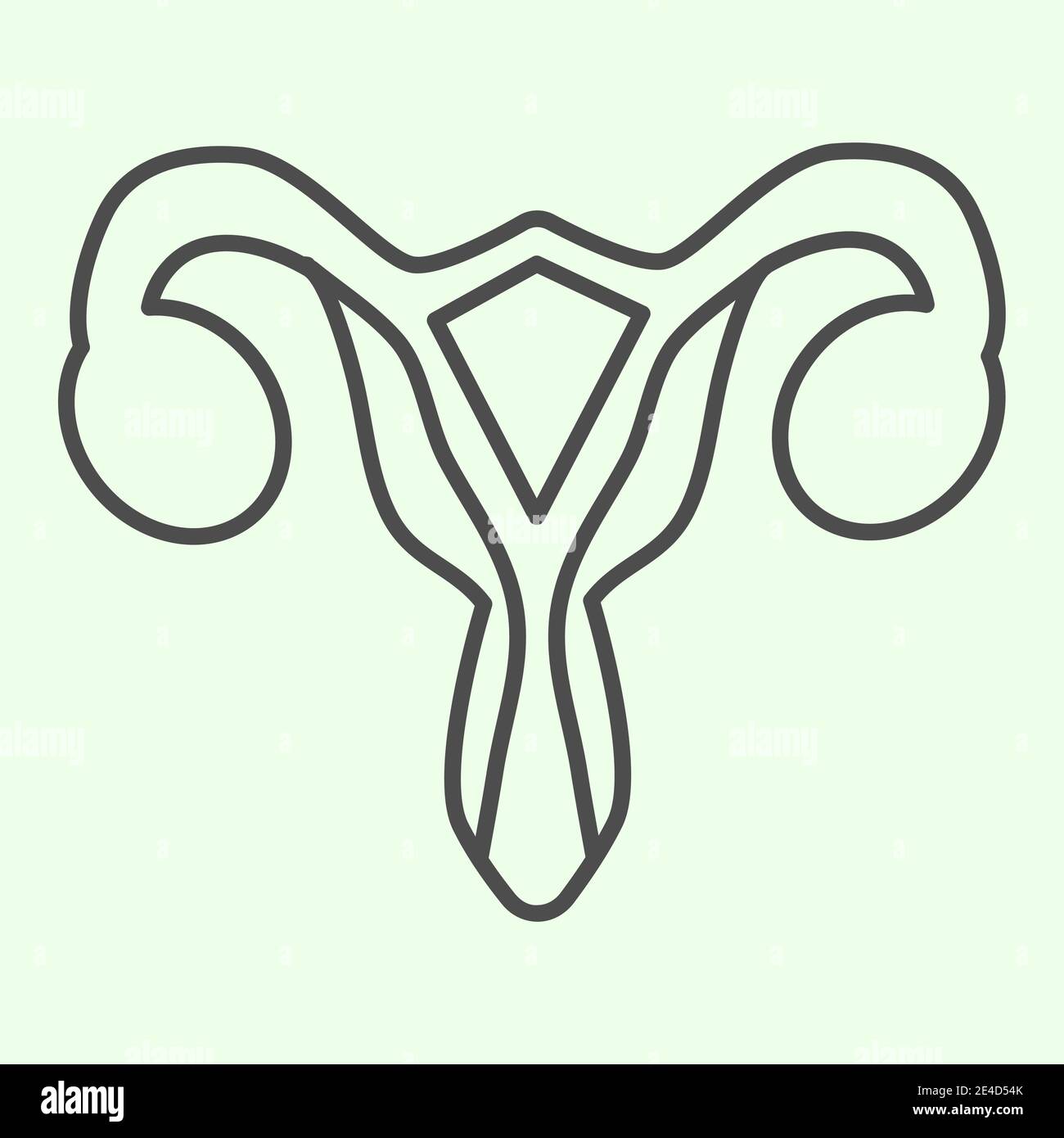 Female reproductive organ thin line icon. Woman uterus outline style