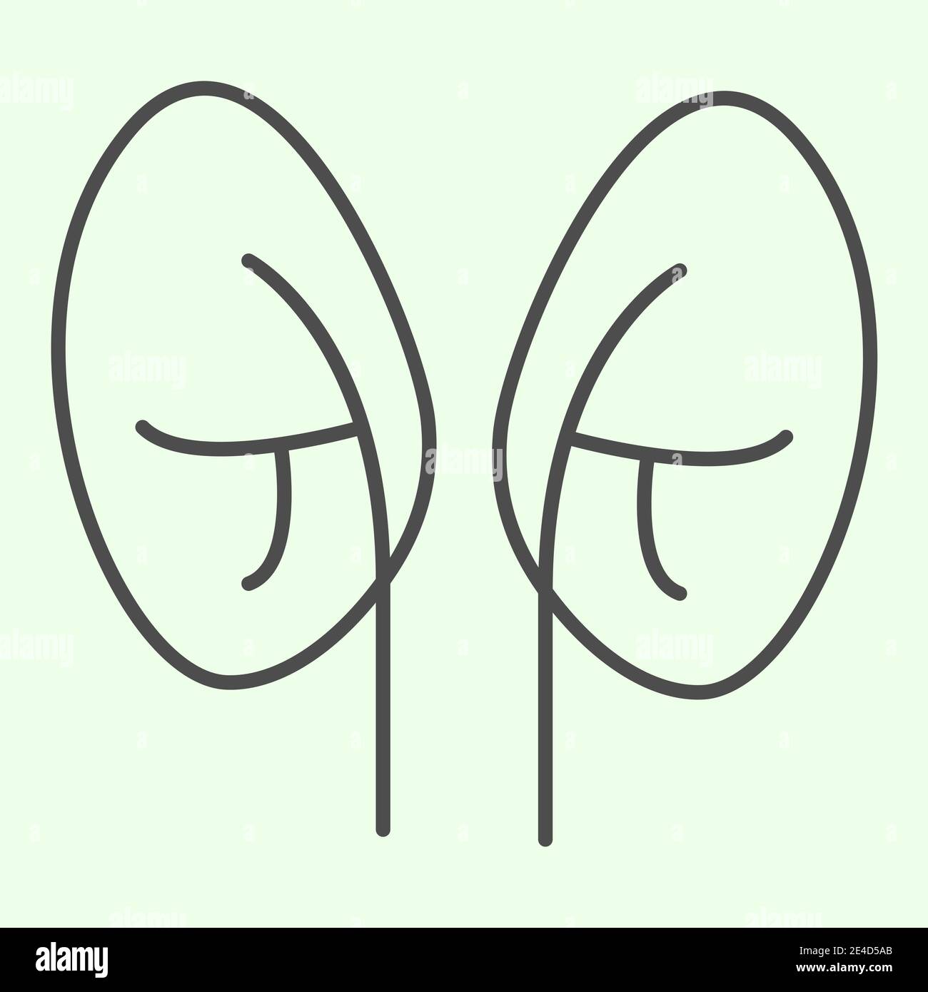 Healthy kidneys medical image Stock Vector Images - Alamy