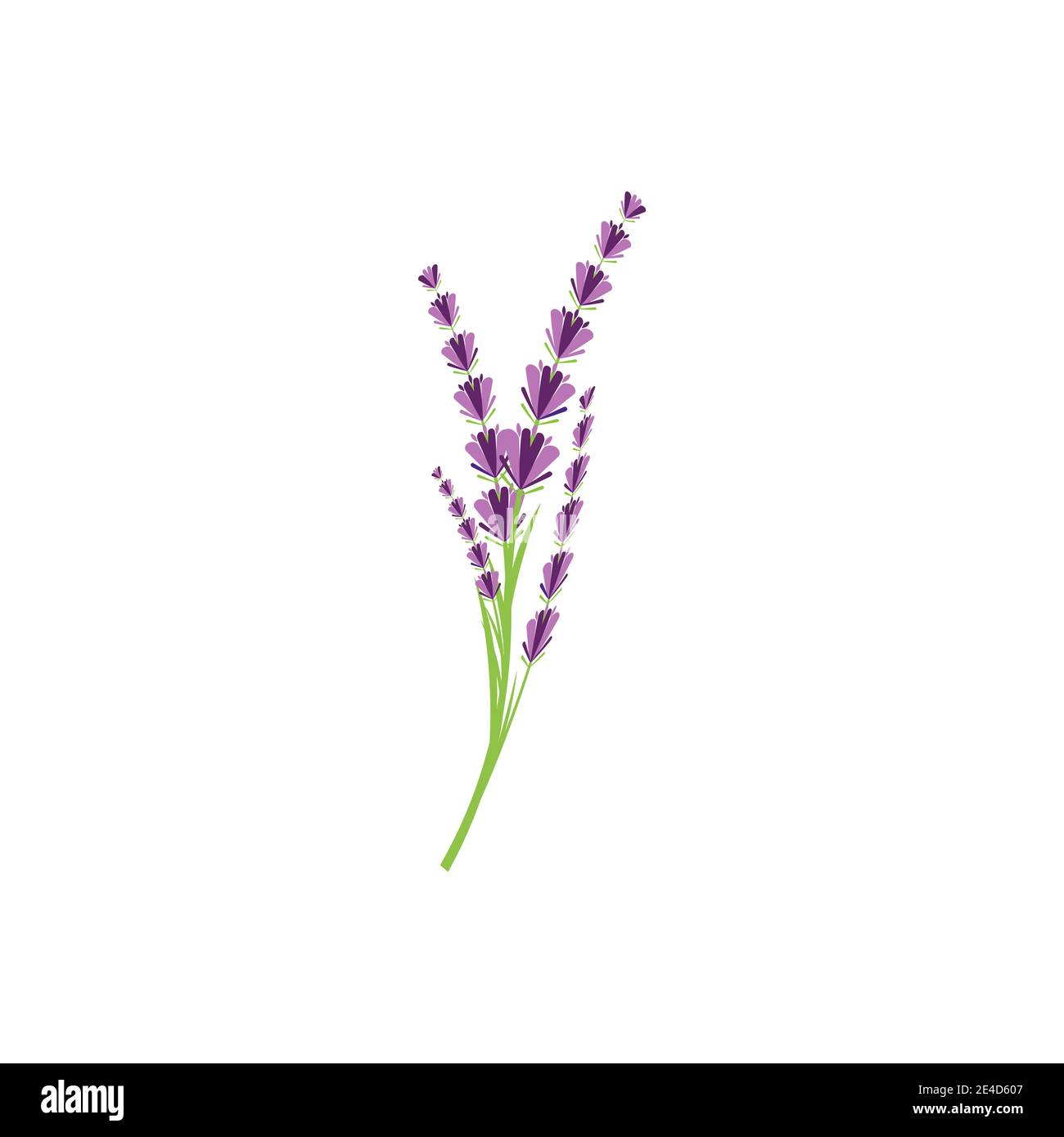 Lavender Logo Template vector symbol nature Stock Vector