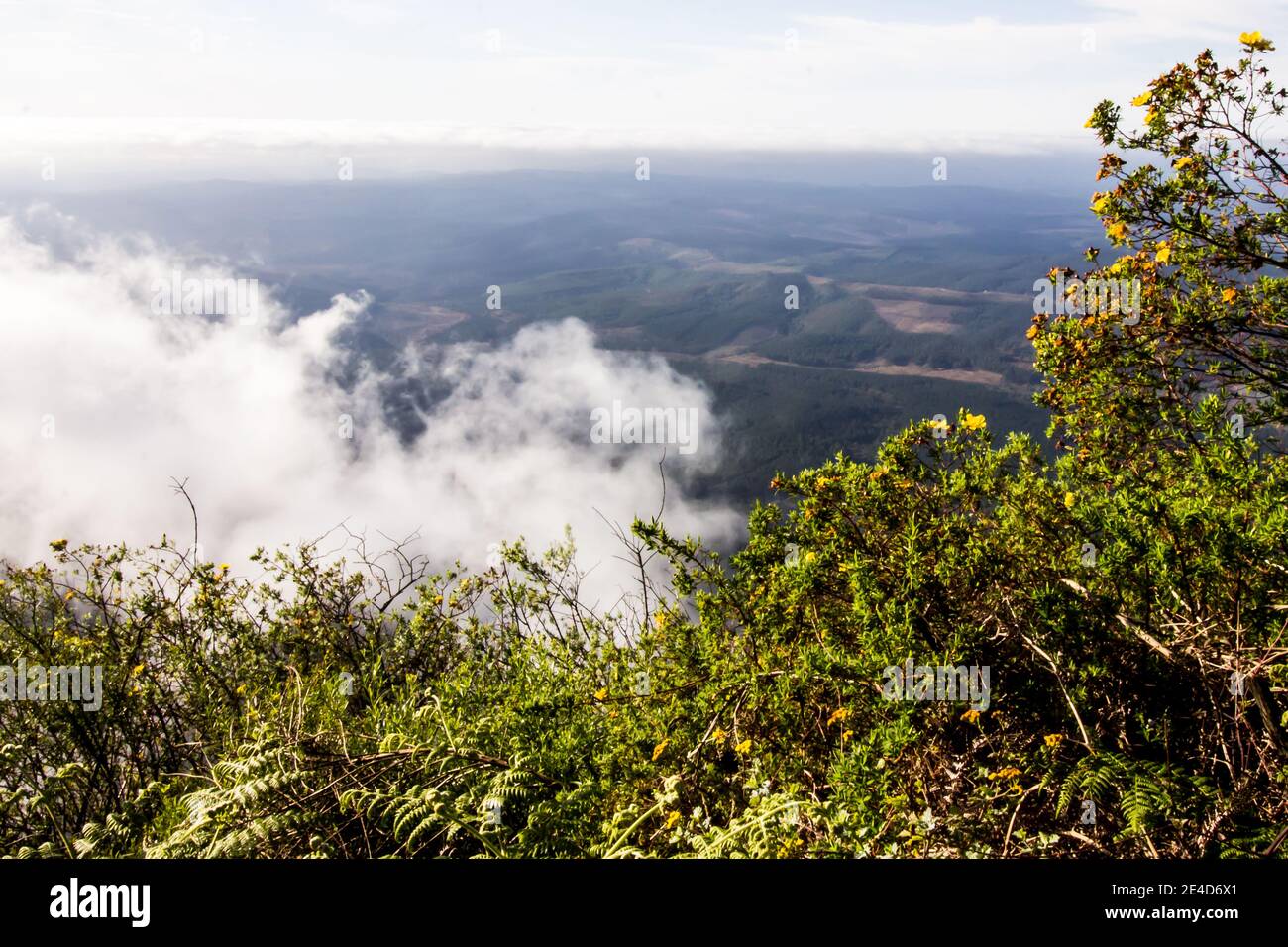 Clouds in the morning pulling back to reveal the vast expanse of the South African Lowveld, as seen from Wonder view viewpoint Stock Photo