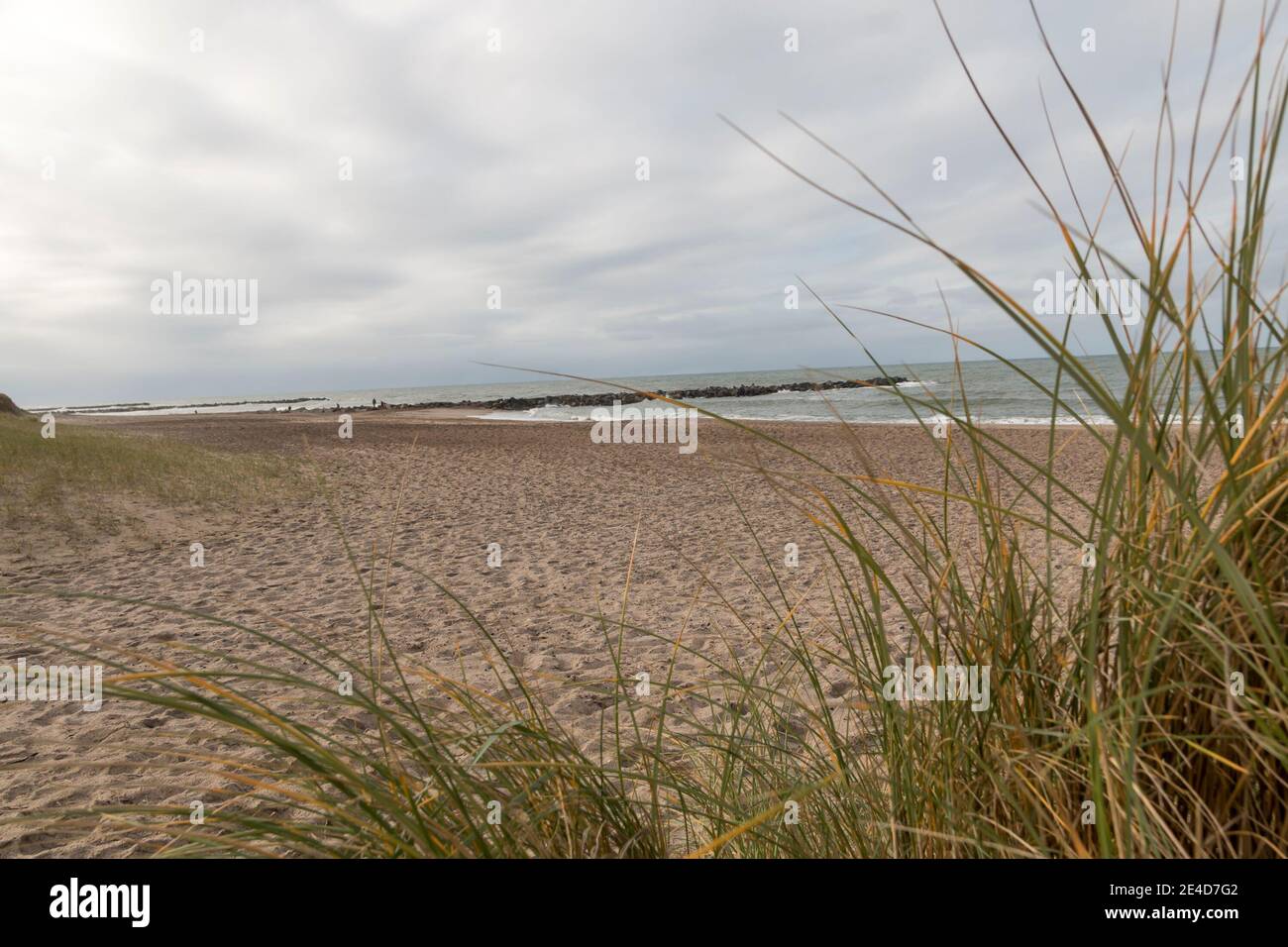 Thyboron, Denmark - 24 October 2020: Coast line at Thyboron on the Danish west coast, in front you can see dune grass, beautiful sandy beach, people o Stock Photo