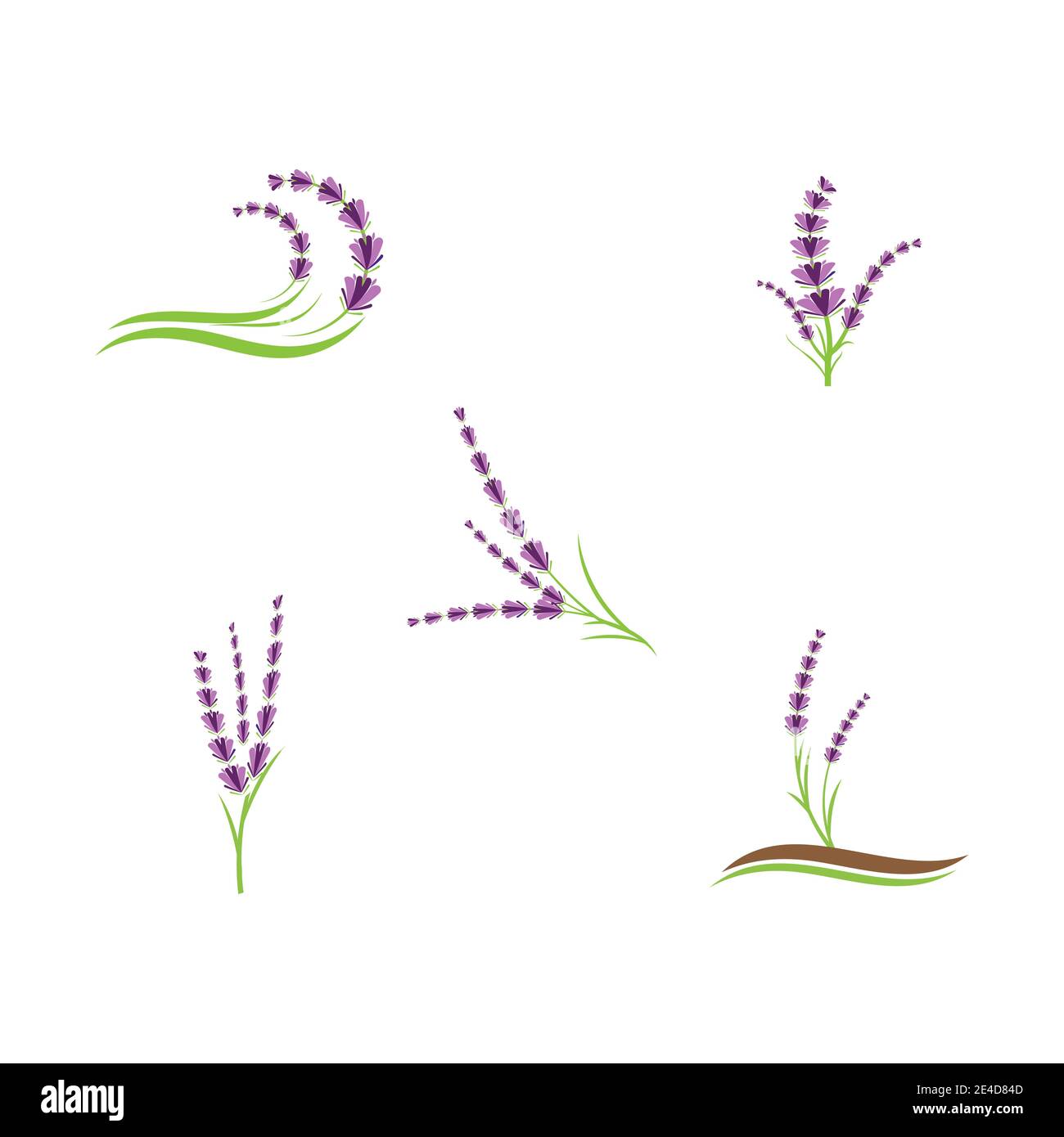 Set Lavender Logo Template vector symbol nature Stock Vector
