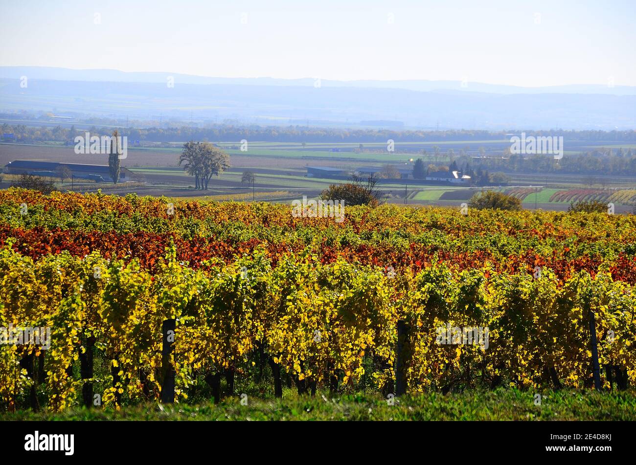 Beautiful autumn scenery dry leaves hi-res stock photography and images ...