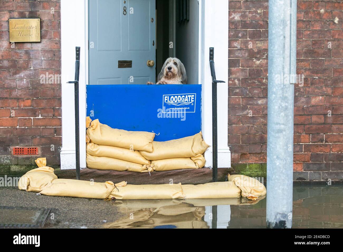 Flood defences at door hi-res stock photography and images - Alamy