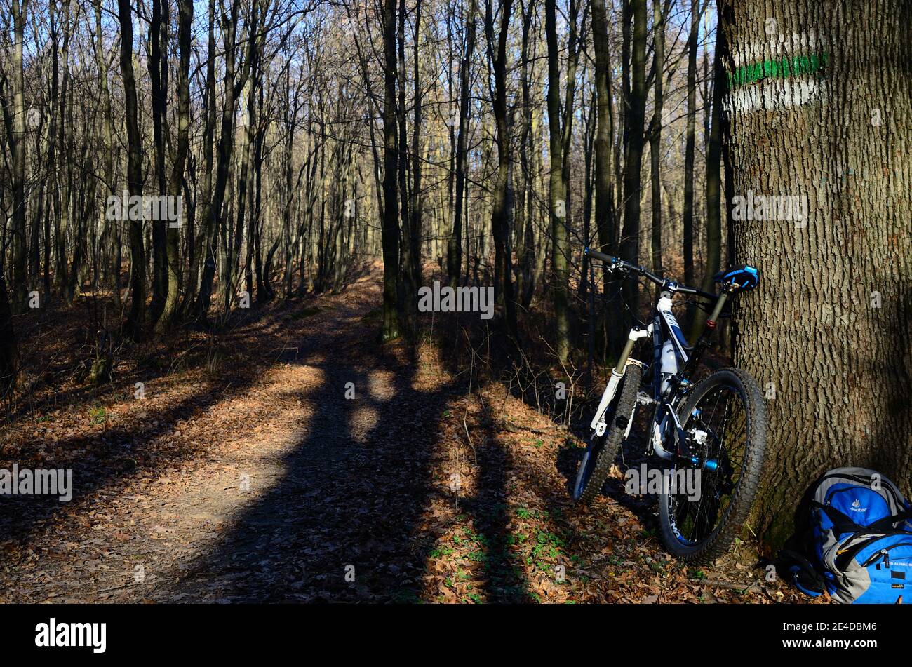 White and blue sports bike hi-res stock photography and images - Alamy