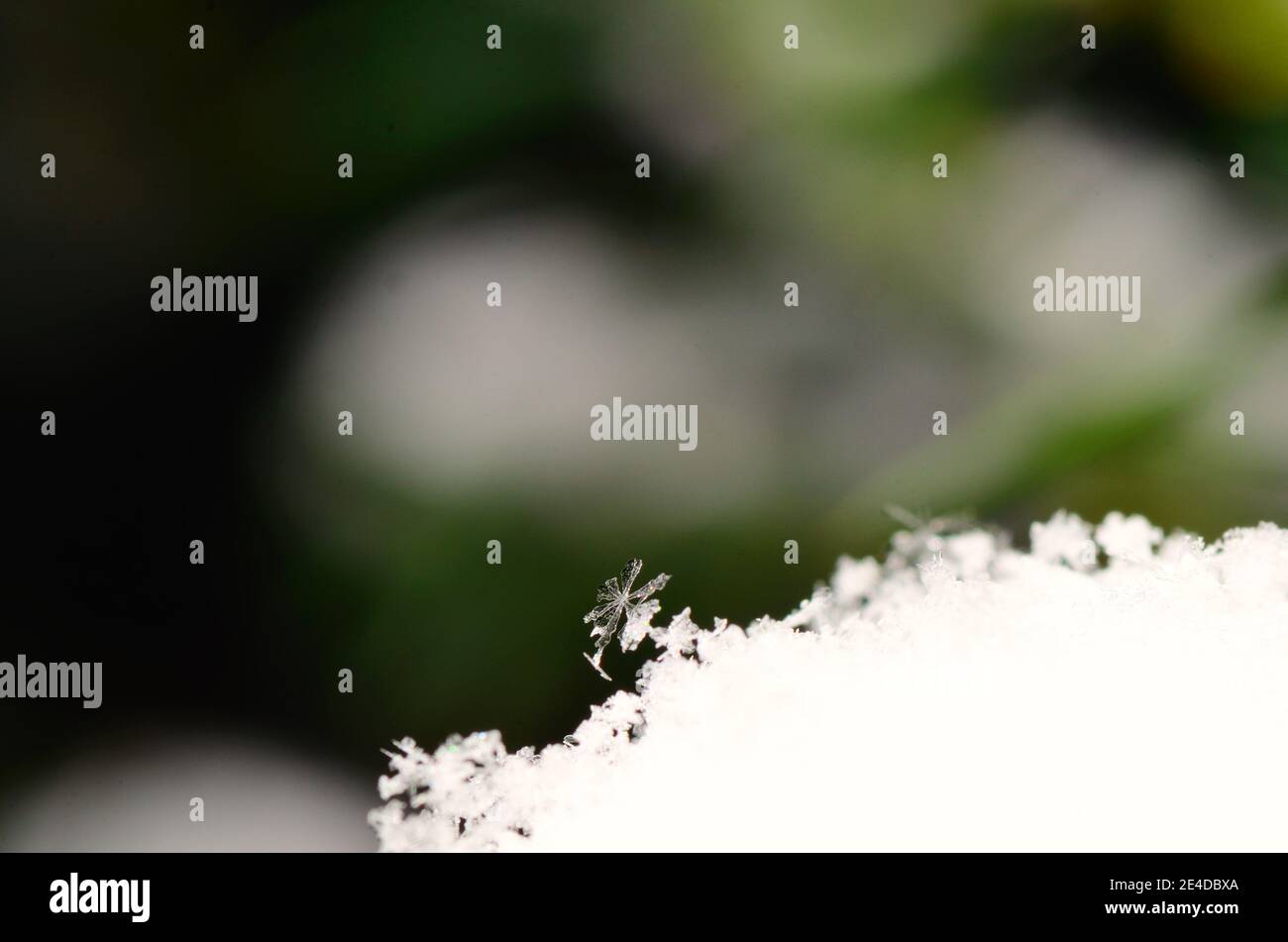 Small snow cap hi-res stock photography and images - Alamy
