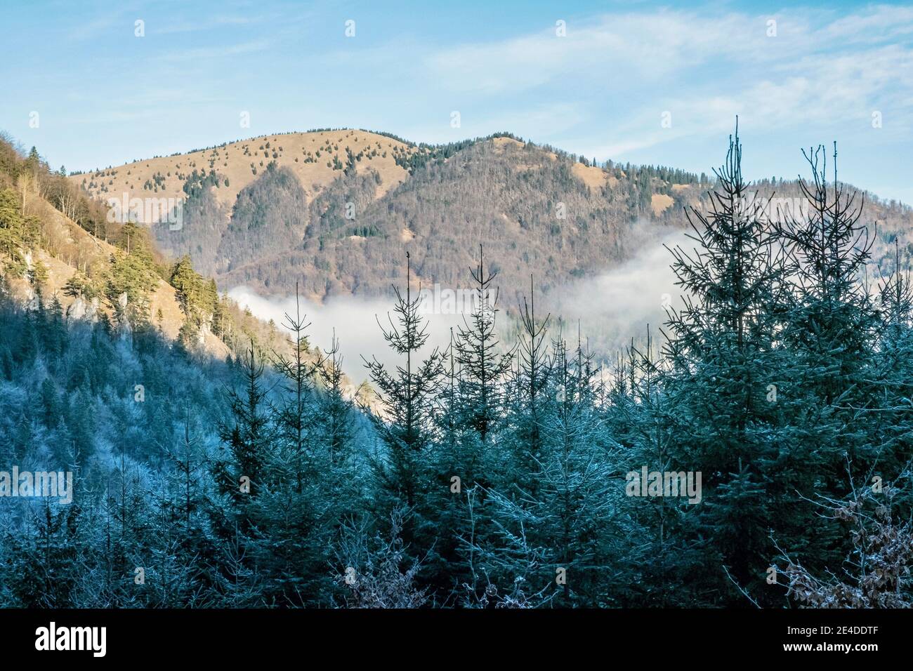 Morning time in Big Fatra mountains, Slovak republic. Hiking theme. Seasonal natural scene. Stock Photo