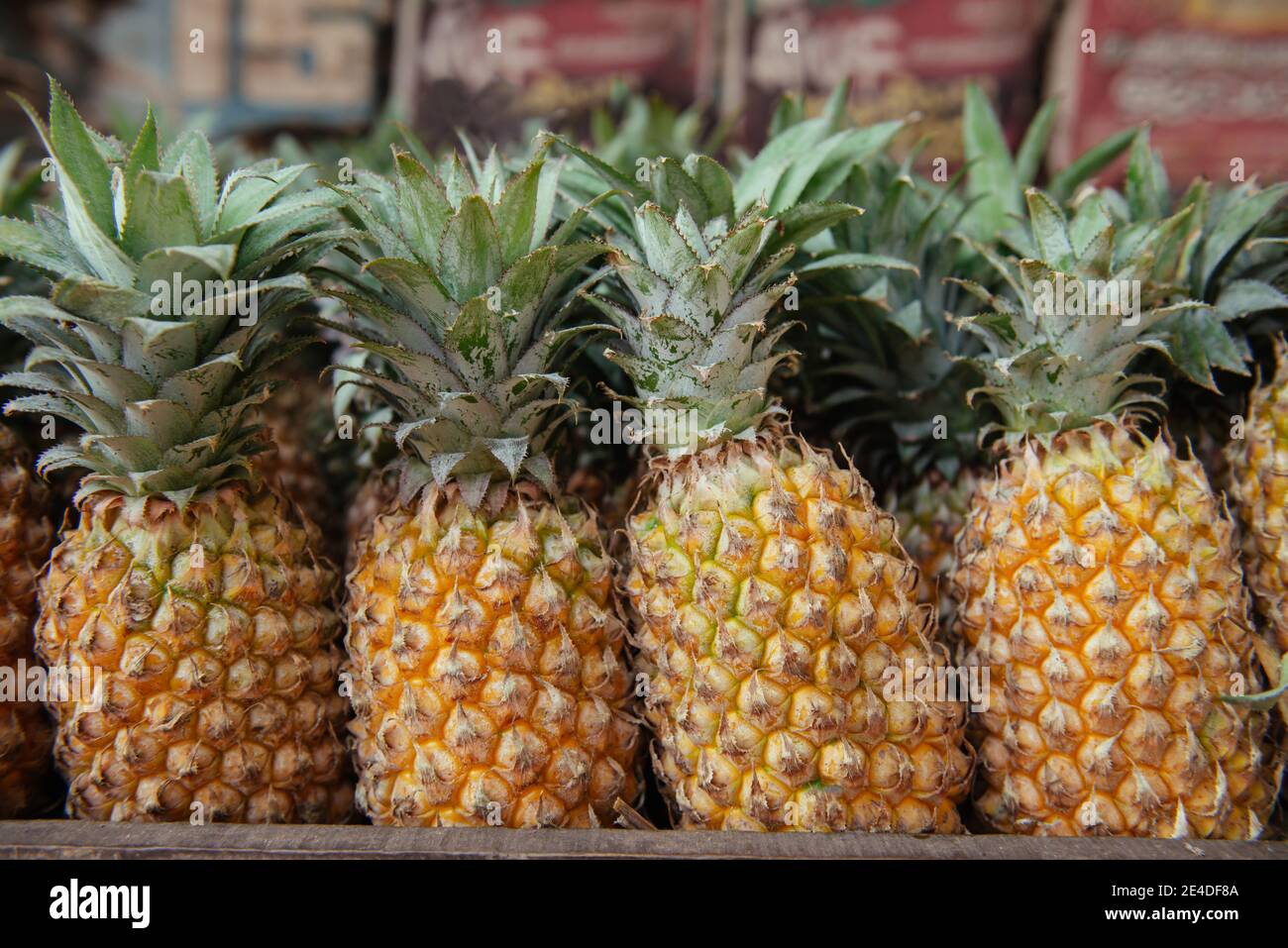 Ripe pineapple for sale at asian street market, India, Kerala Stock