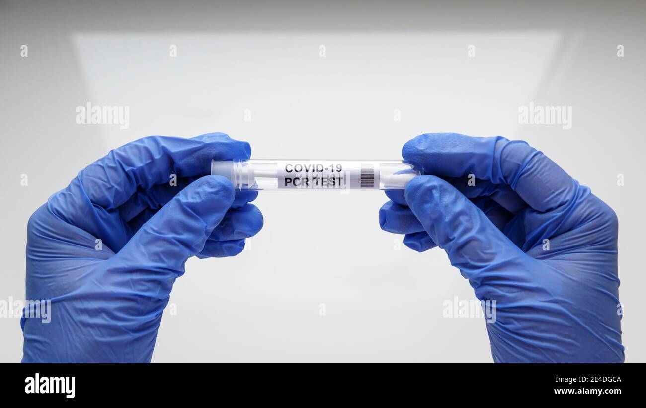 COVID-19 swab collection kit in doctor hands, nurse holds tube of coronavirus PCR test on white background. Concept of corona virus diagnostics, medic Stock Photo