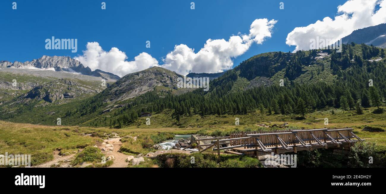 Peak of Care Alto (3462 m) in the National Park of Adamello Brenta seen from the Val di Fumo. Trentino Alto Adige, Italy, Europe Stock Photo