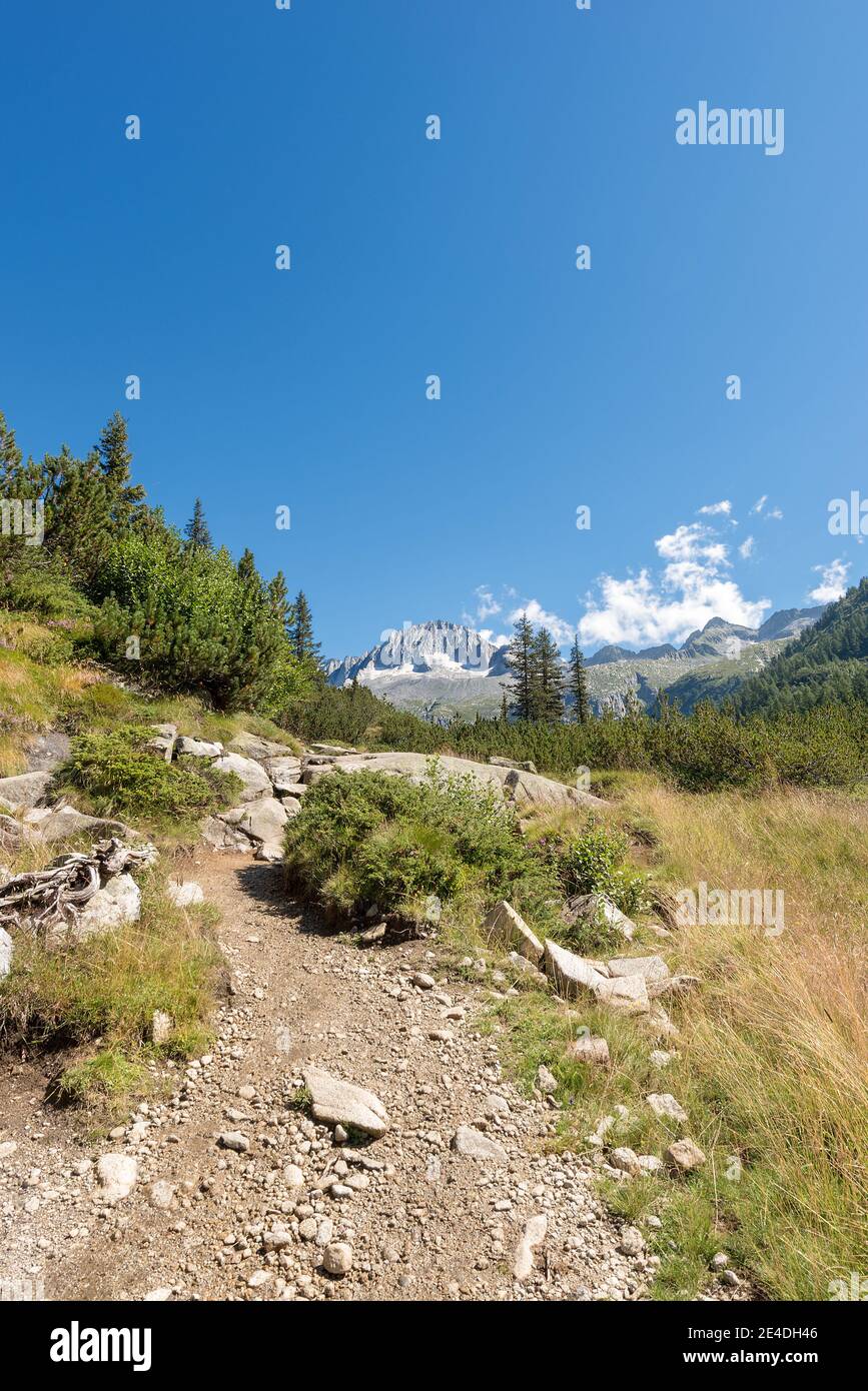 Peak of Care Alto (3462 m) in the National Park of Adamello Brenta seen from the Val di Fumo. Trentino Alto Adige, Italy, Europe Stock Photo