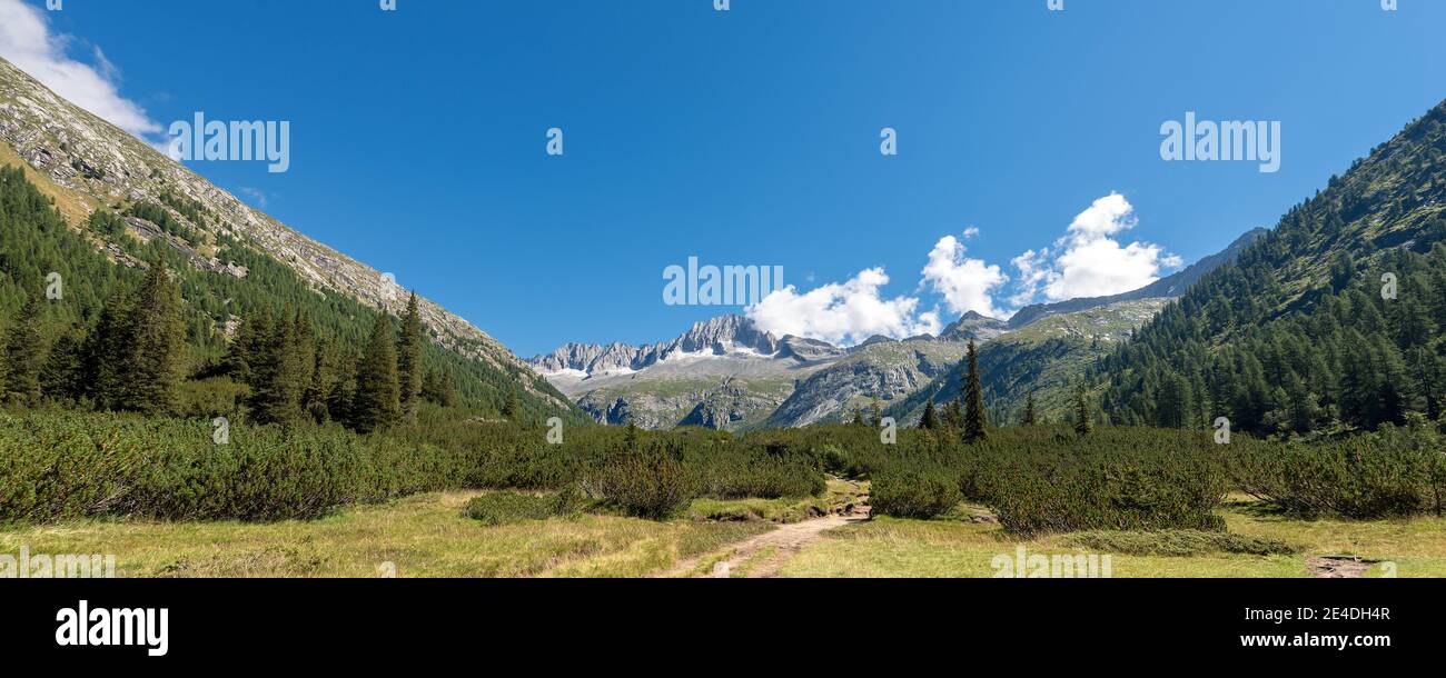 Peak of Care Alto (3462 m) in the National Park of Adamello Brenta seen from the Val di Fumo. Trentino Alto Adige, Italy, Europe Stock Photo