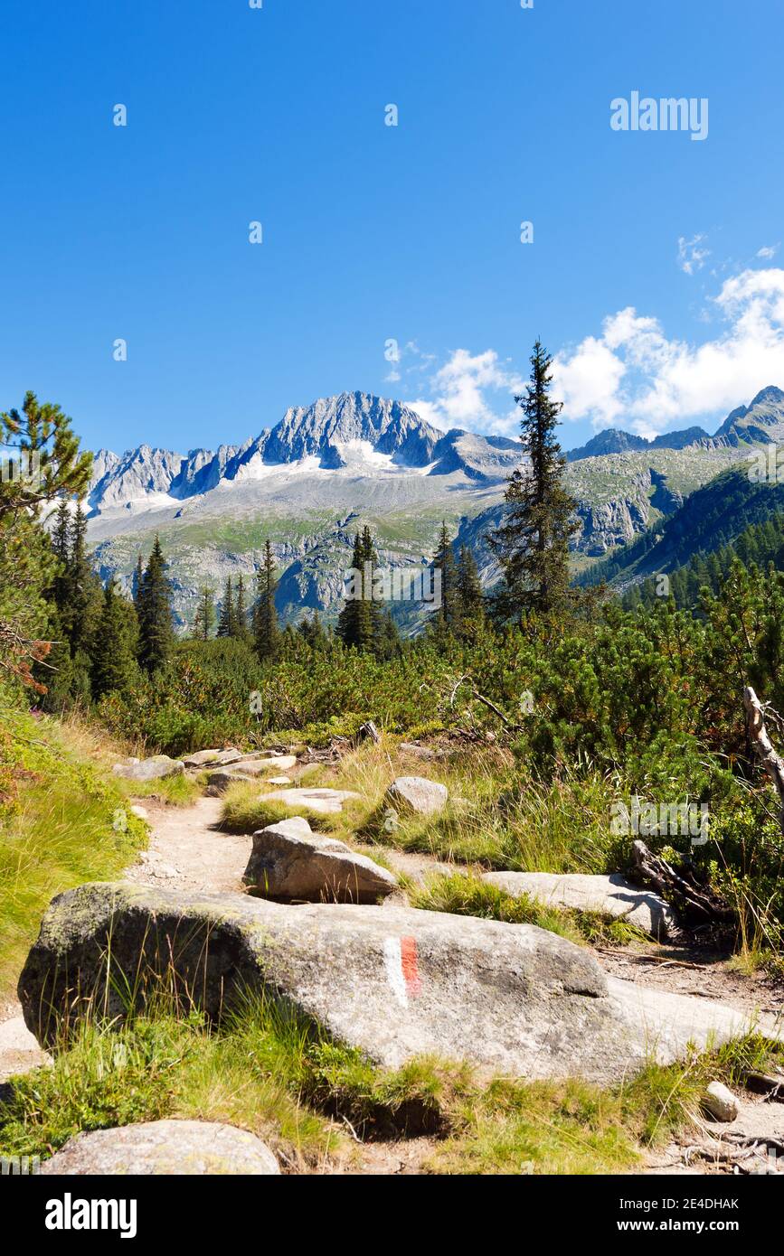 Peak of Care Alto (3462 m) in the National Park of Adamello Brenta seen from the Val di Fumo. Trentino Alto Adige, Italy Stock Photo