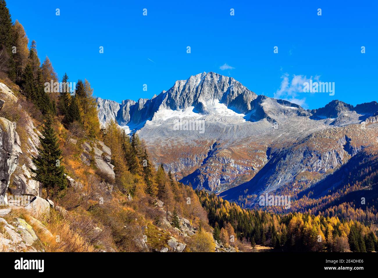 Peak of Care Alto (3462 m) in the National Park of Adamello Brenta seen from the Val di Fumo. Trentino Alto Adige, Italy Stock Photo