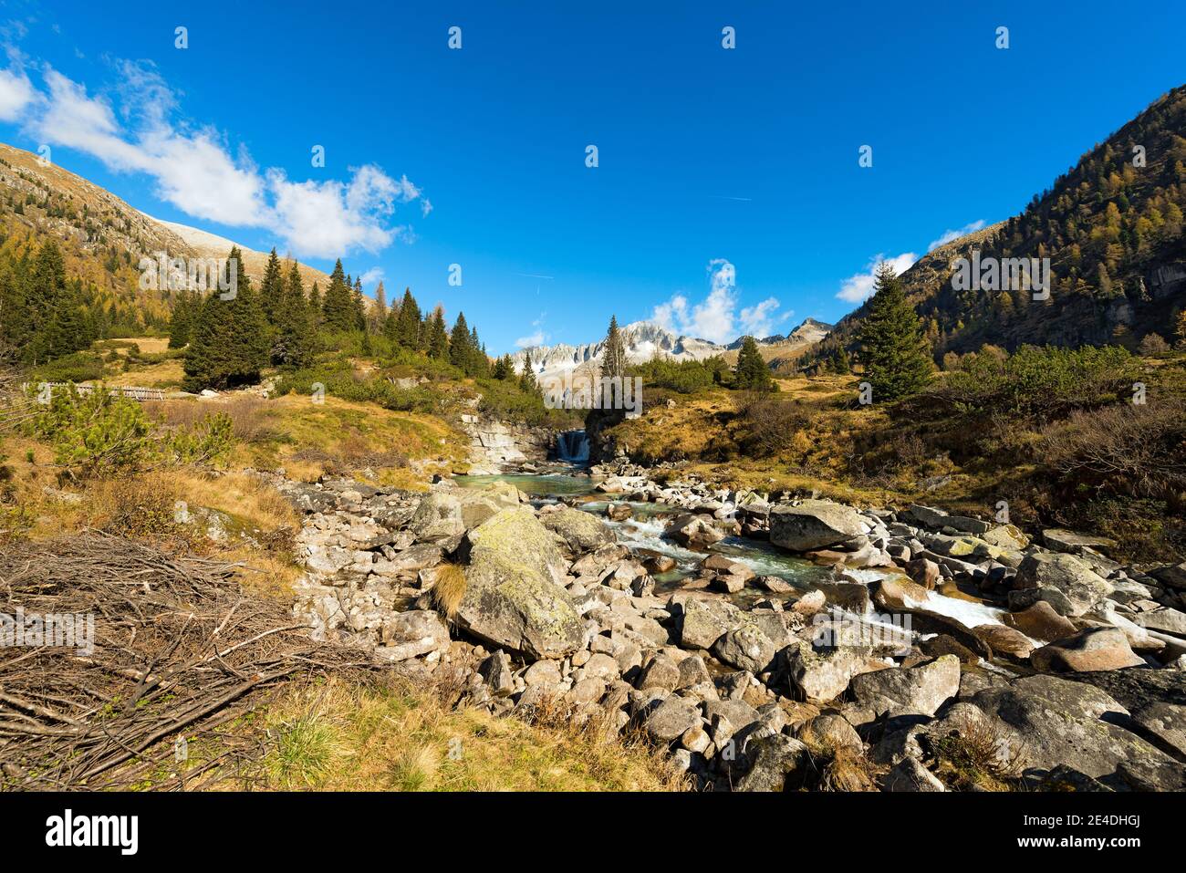 Peak of Care Alto (3462 m) in the National Park of Adamello Brenta seen from the Val di Fumo. Trentino Alto Adige, Italy Stock Photo