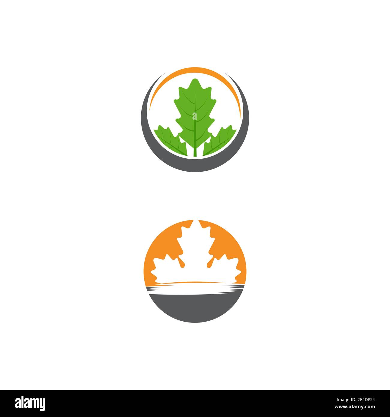 Maple leaf vector illustration design template Stock Vector Image & Art ...