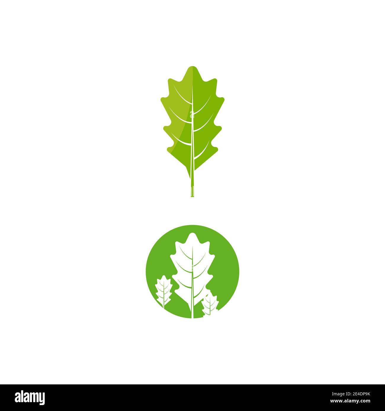 Maple leaf vector illustration design template Stock Vector Image & Art ...