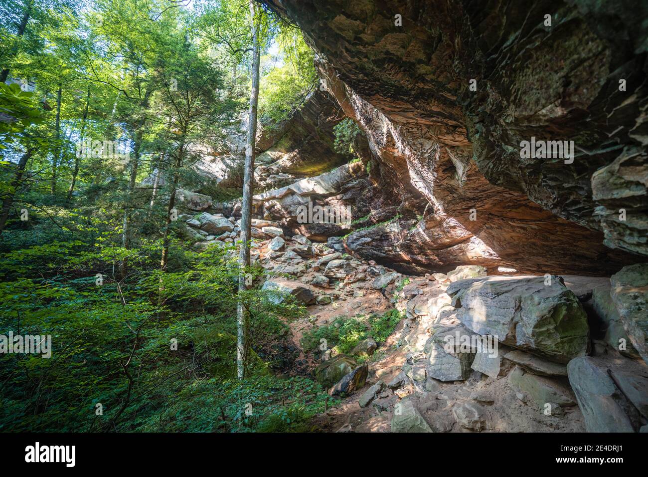 Morning sunlight shines on a rock wall in the Red River Gorge, Kentucky. Stock Photo