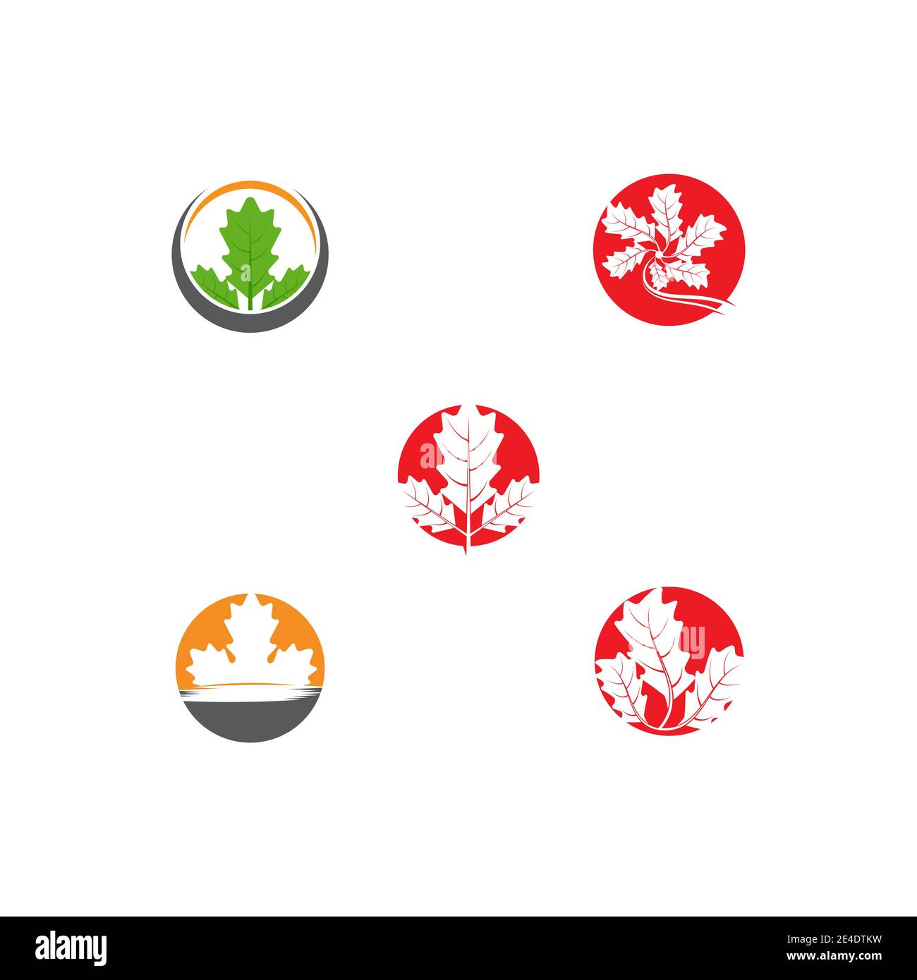 Set Maple leaf vector illustration design template Stock Vector Image ...