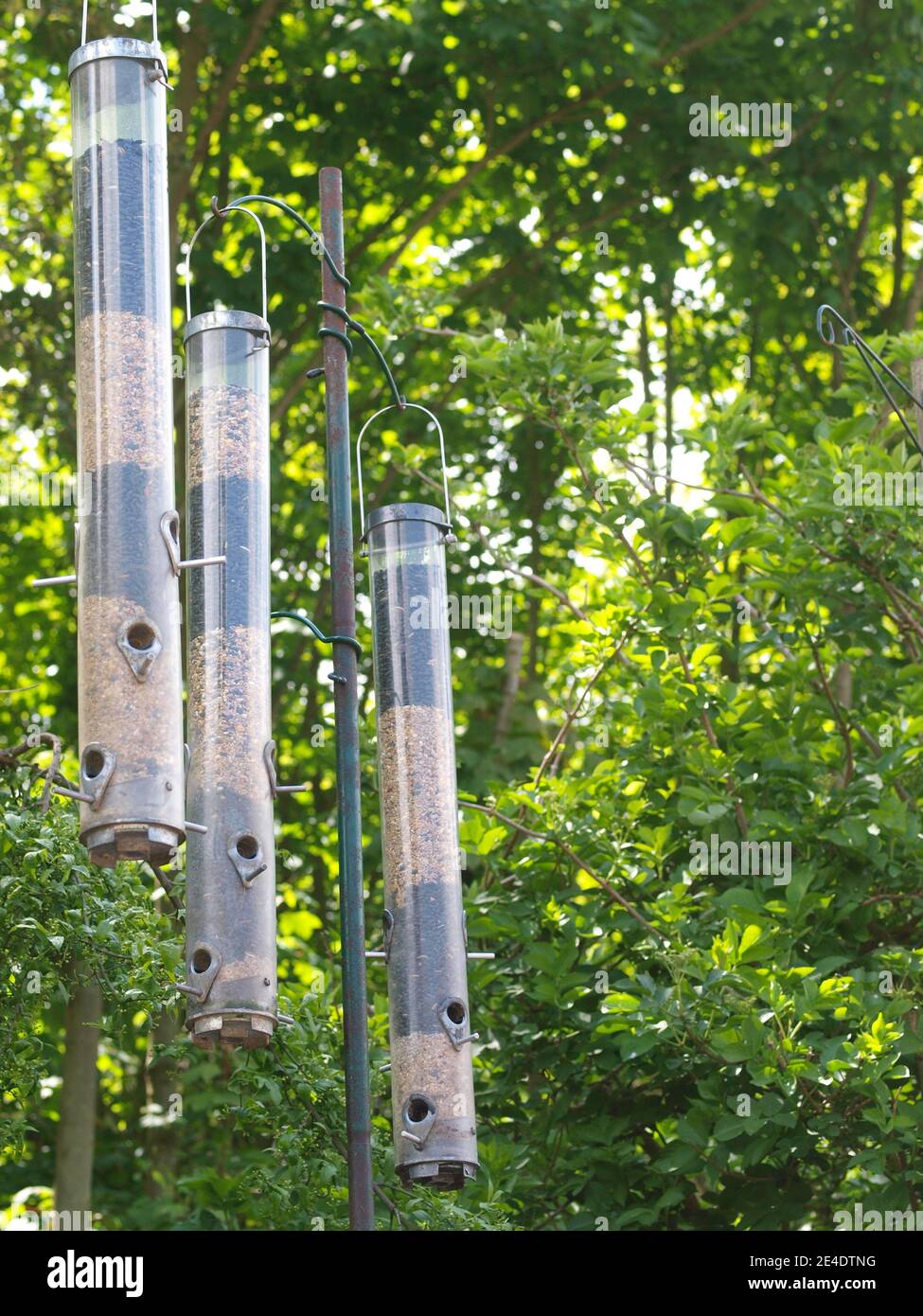Three hanging bird feeders in a British garden. Stock Photo